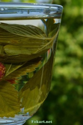 Чай с ягодами малины (60 фото)