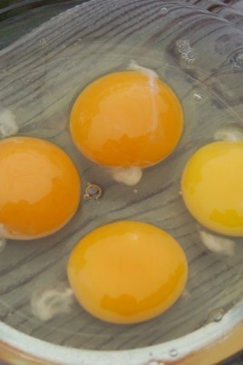 Белый желток в яйце (52 фото)