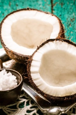 Деликатес кокосовые острова (58 фото)