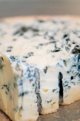 Сыр горгонзола с голубой плесенью (56 фото)
