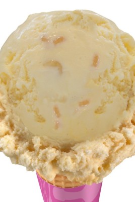 Сырное мороженое (66 фото)