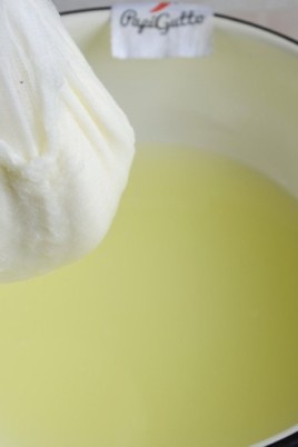 Сыр из кислого козьего молока (58 фото)