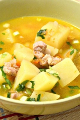 Мясной суп из свинины (61 фото)