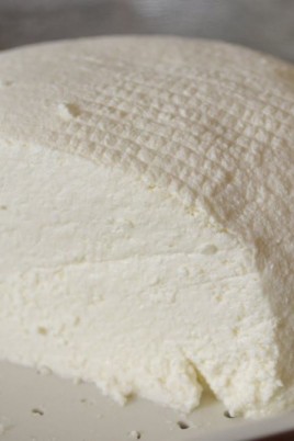 Сыр queso fresco (64 фото)