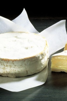 Сыр камамбер (54 фото)