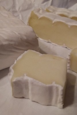 Сыр егорлык молоко камамбер (57 фото)