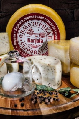 Сыр в домашних условиях сыроварня sir tremasov (52 фото)