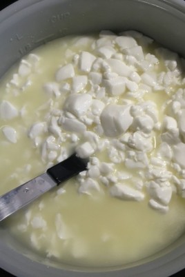Сыр из кипяченого молока (58 фото)