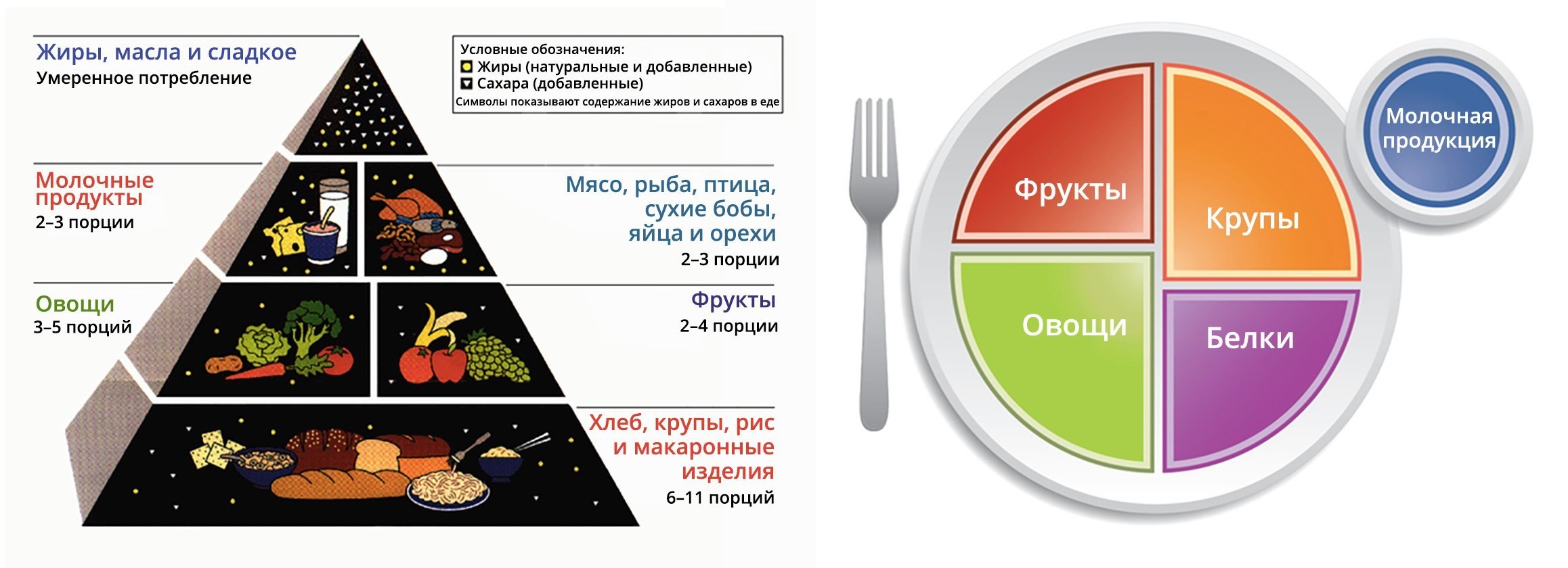 Врач диетолог составил диаграмму. Тарелка здорового питания схема. Рациональная тарелка питания. Гарвардская тарелка здорового питания. Диета Гарвардская тарелка.