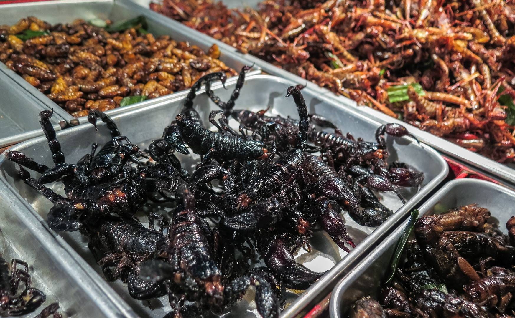 Питание насекомых. Китай еда насекомые. Таиландские тараканы жареные. Рынок в Тайланде с насекомыми. Блюда из насекомых.