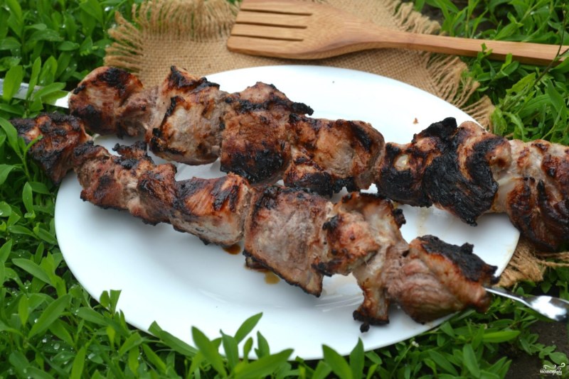 Шашлык из лосятины