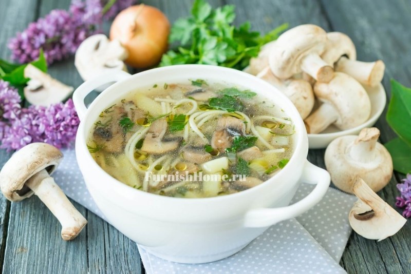 Грибовница из белых грибов