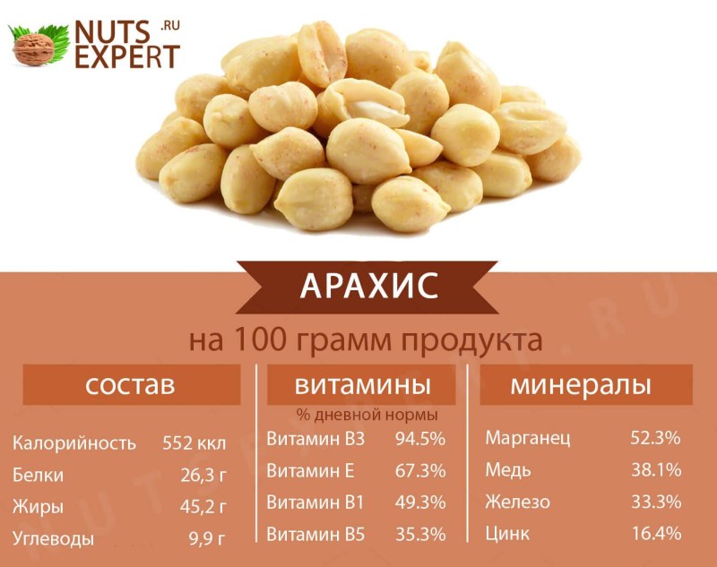 Самые полезные орехи