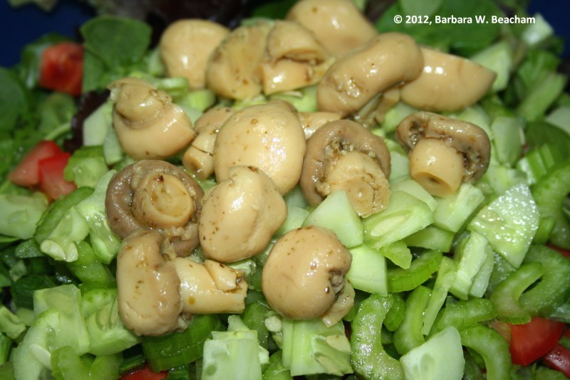 Медовые грибы Armillaria mellea