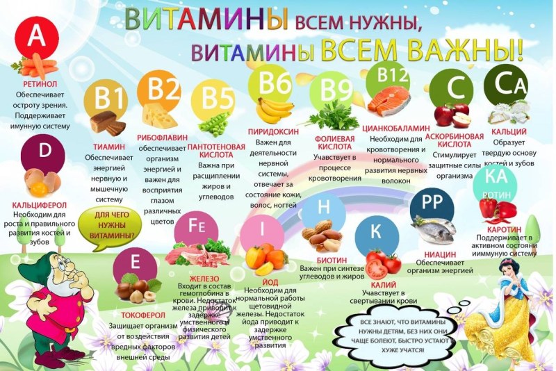 Всемирный день иммунитета