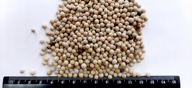 Перец белый молотый (White Pepper Powder) 1 кг