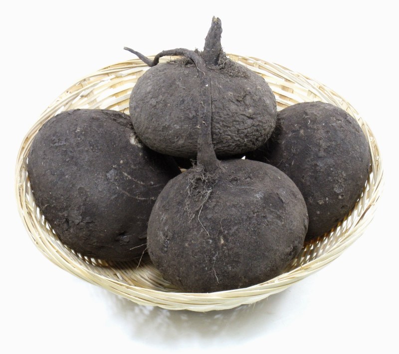 Редька зимняя круглая