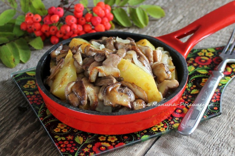 Маслята грибы жареные с картошкой