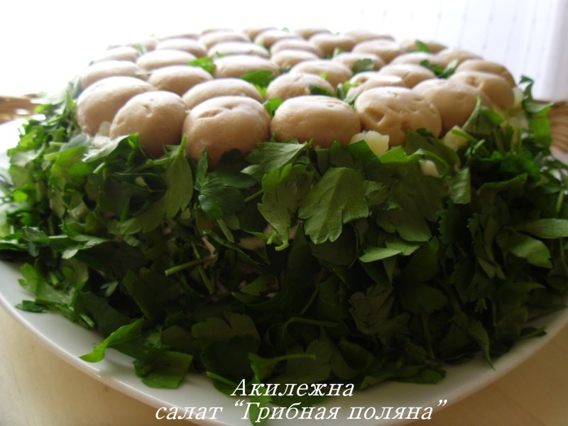 Грибная Поляна