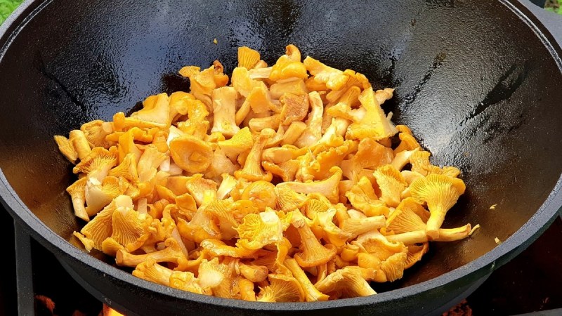 Жареная картошка с лисичками
