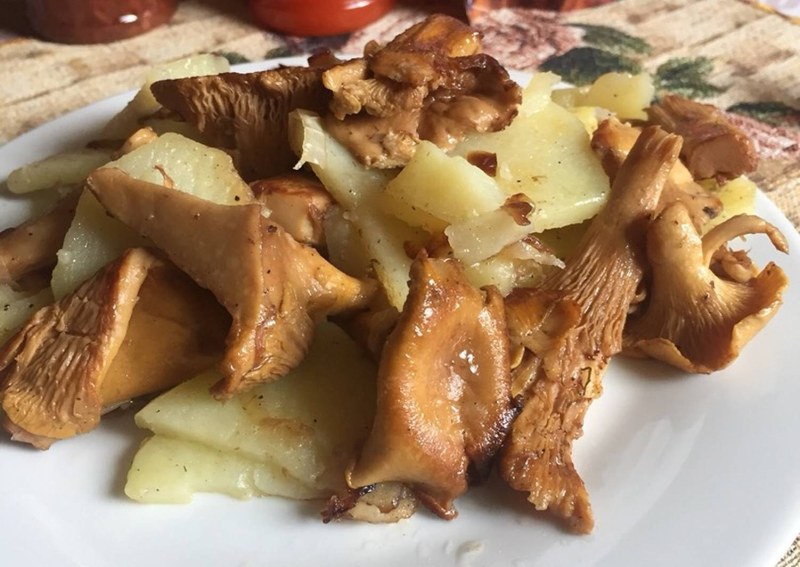 Блюда с грибами лисички и картошкой