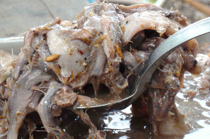 Жареные сверчки в шоколаде