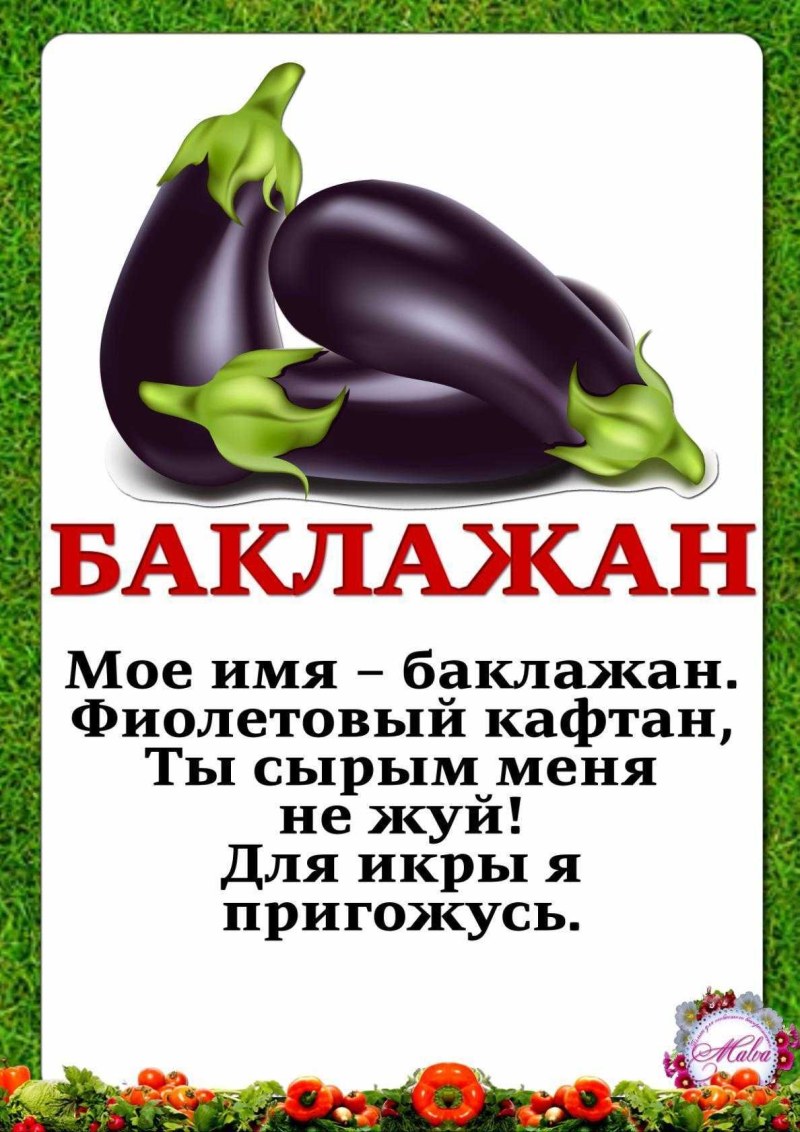 Капуста цукини
