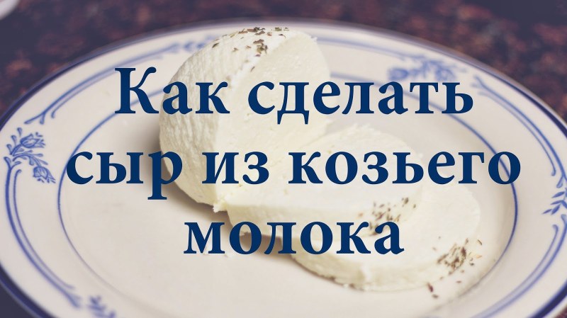 Как делать сыр из козьего молока