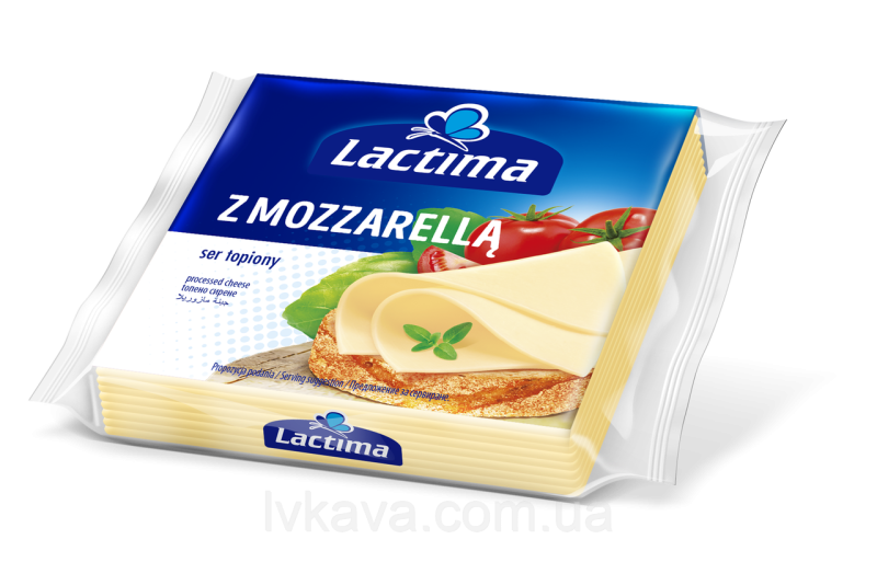 Сыр плавленый 1 пластинка весит