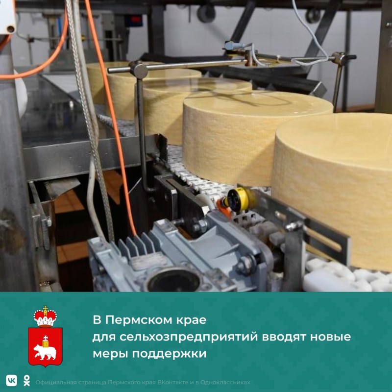 Сыр Нытвенский маслозавод