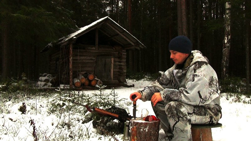 Сбор грибов и ягод в лесу