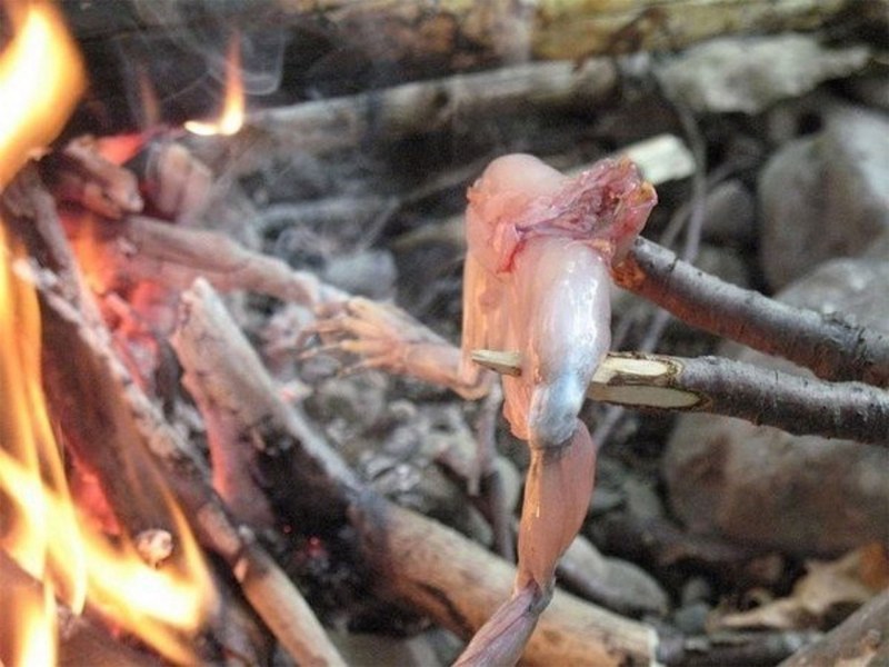 Лягушачьи лапки на костре