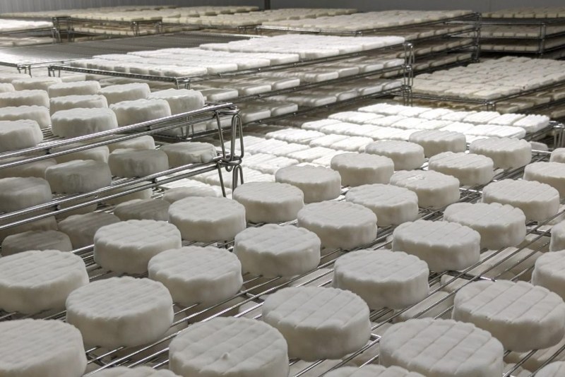 Сыр Camembert Schonfeld