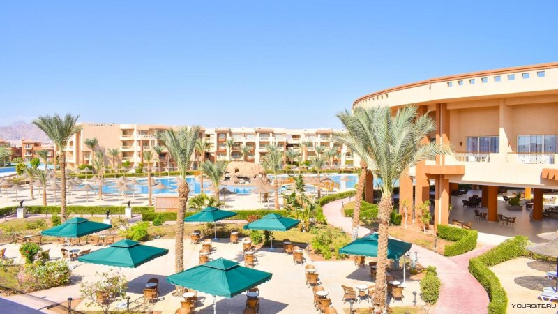 Отель Shores Amphoras 5 Египет Шарм Эль Шейх