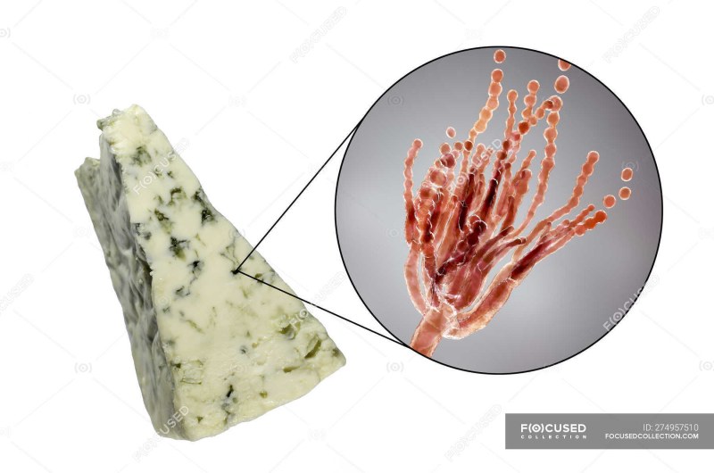 Сыр пекорино Гранде, pecorino grande, 48%, Williams,