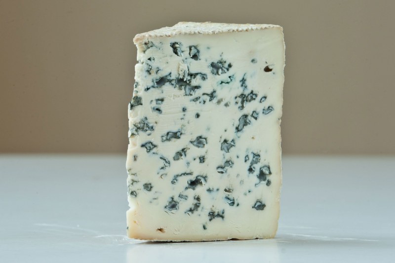 Penicillium roqueforti сыр горгонзола