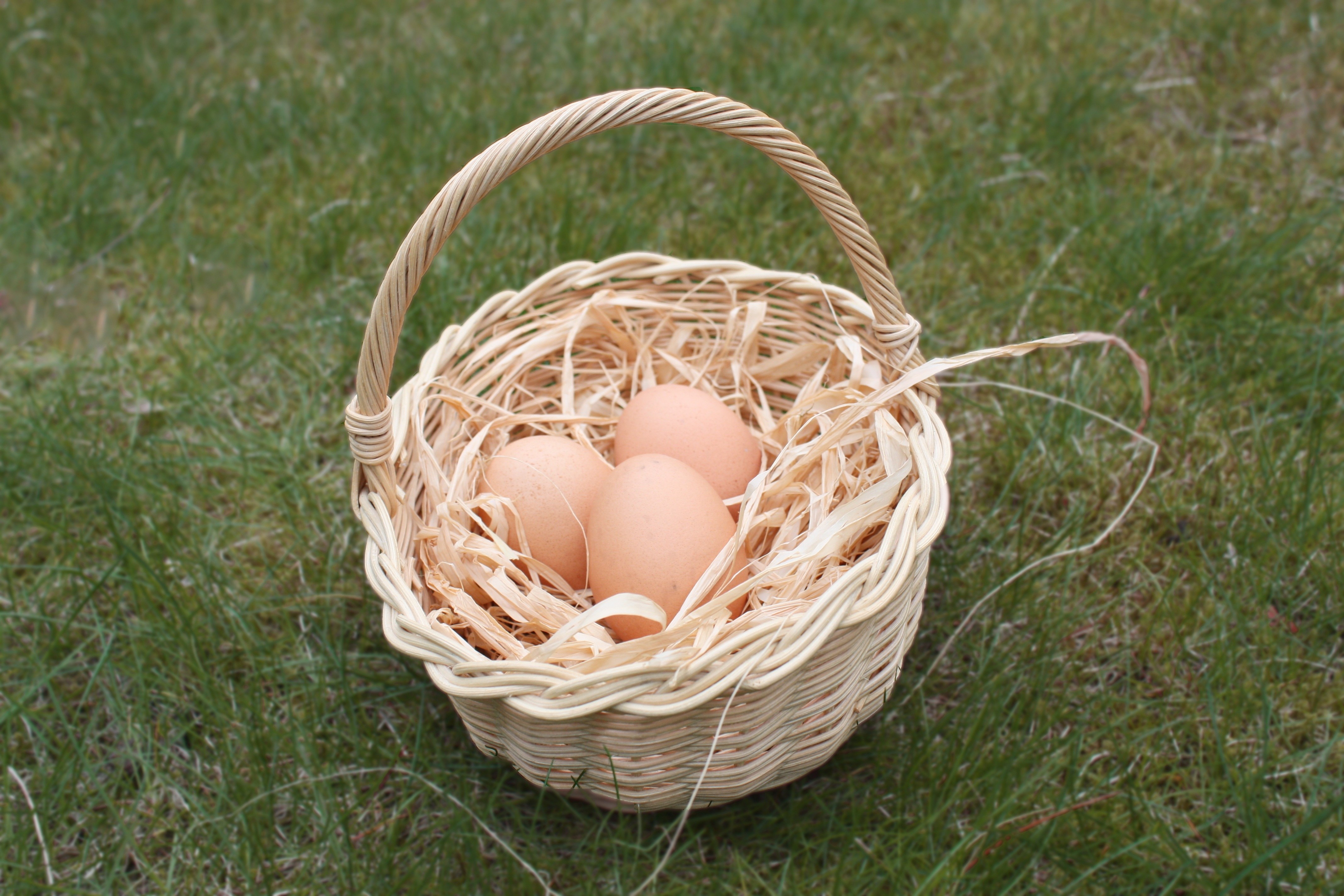 Egg basket. Корзинка с яйцами. Яйца в лукошке. Яйца куриные в корзинке. Пасхальная корзинка с соломой.