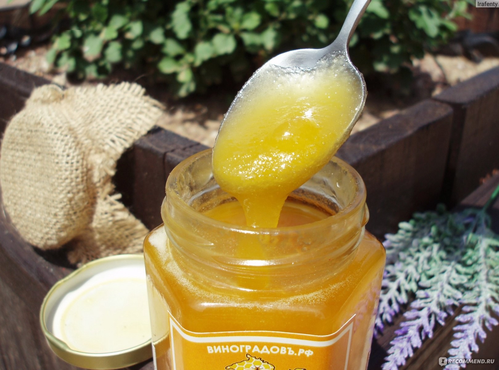 Можно греть мед. Мед Степное разнотравье. Мед цветочный разнотравье. Мед софора. Мёд разнотравье полезные.