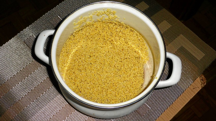 Чечевица с горгонзолой