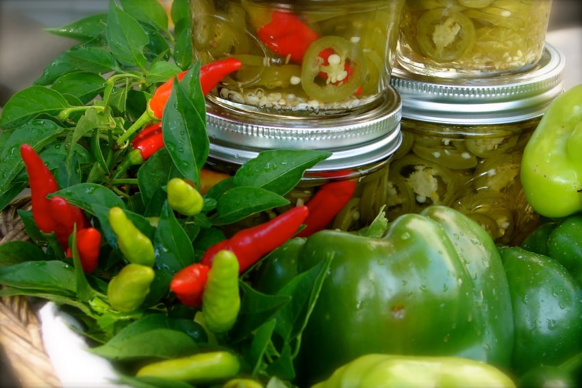 Перец халапеньо маринованный