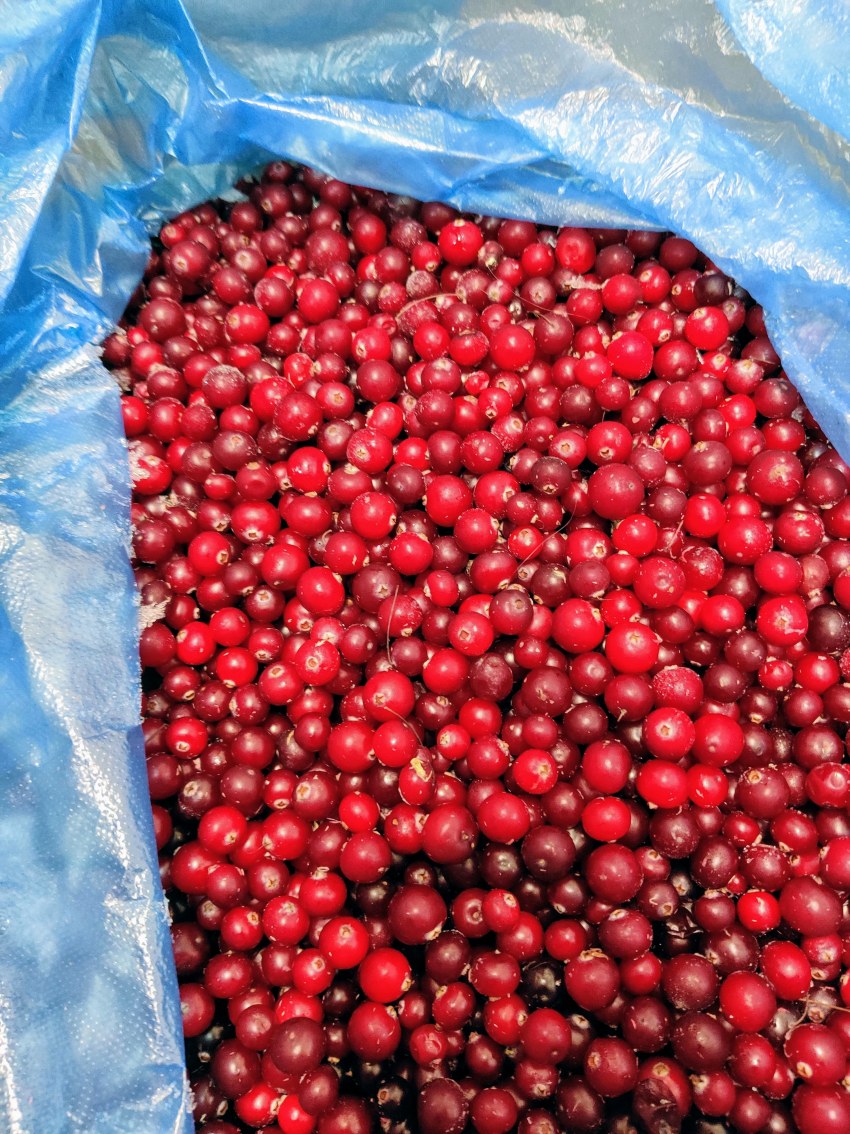 Клюква свежемороженная