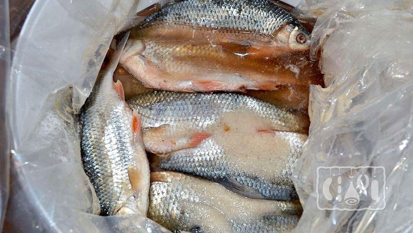 Рыба в соли на углях