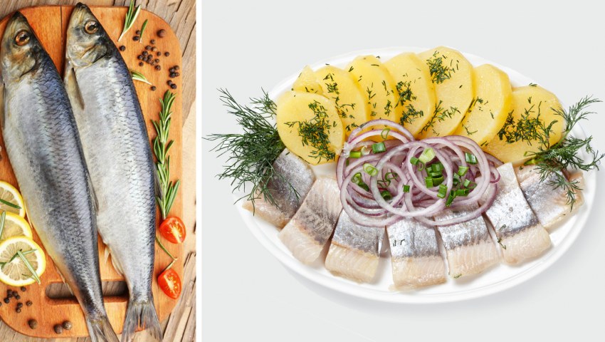 Сельдь Иваси рыба