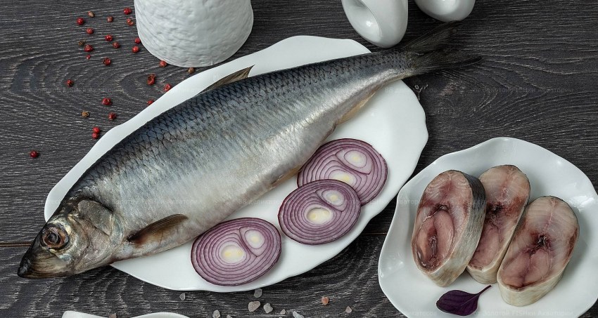 Каспийская сельдь