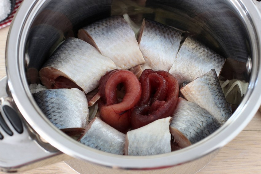 Herring селедка