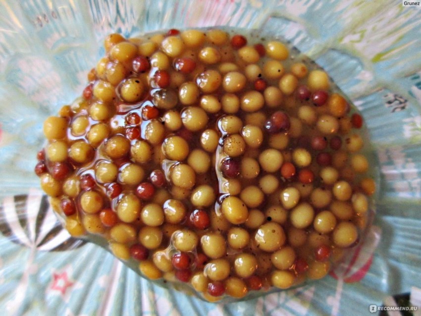 Псковская горчица