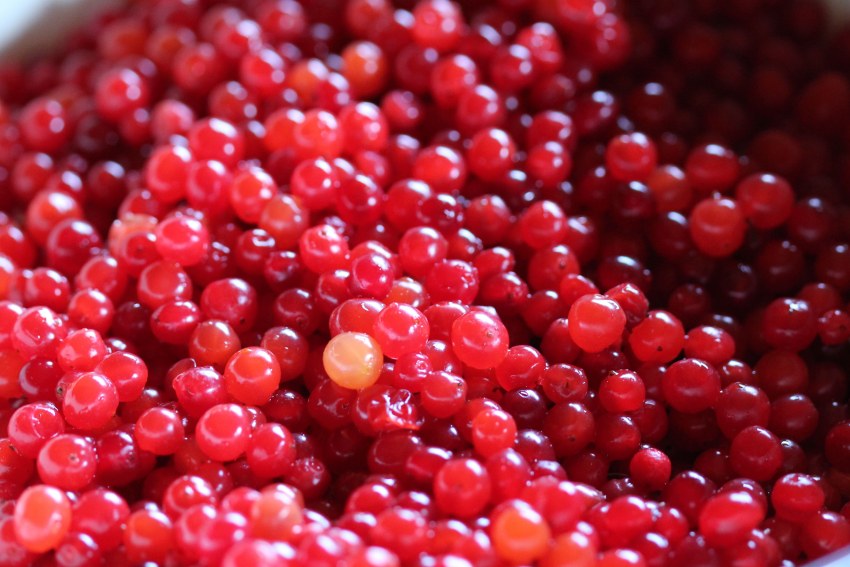 Начинка для пирогов из калины