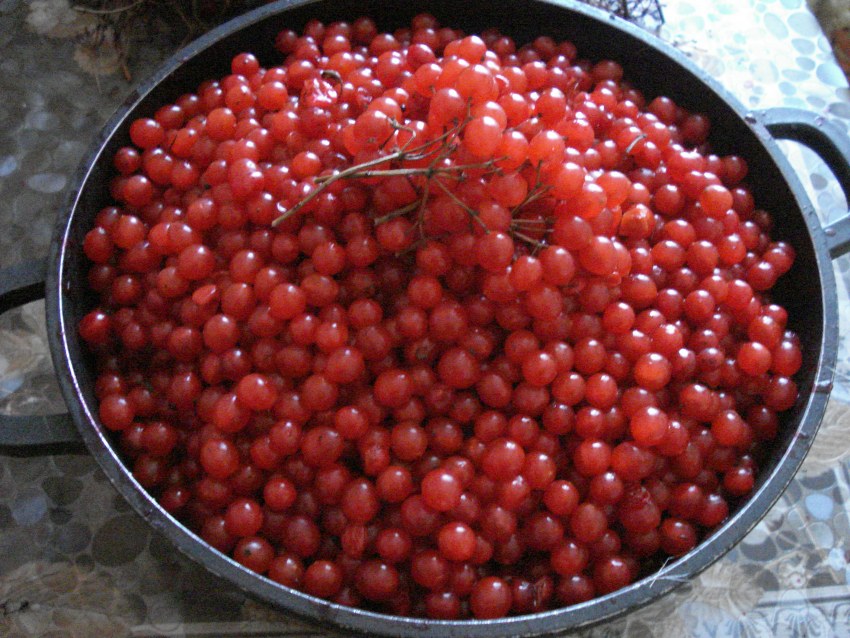 Удмуртские шаньги перепечи