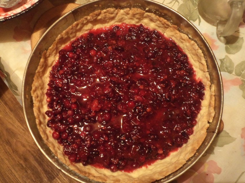 Выпечка с брусникой