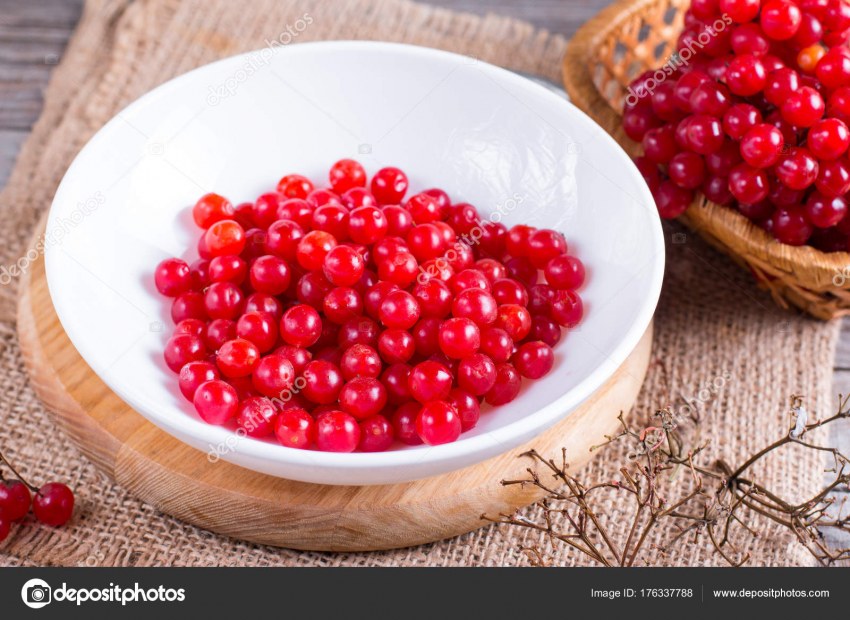 Пирог с калиной